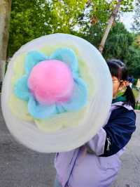 濟南動物園新晉頂流！2個月的小象寶寶必看，治癒一切不開心！