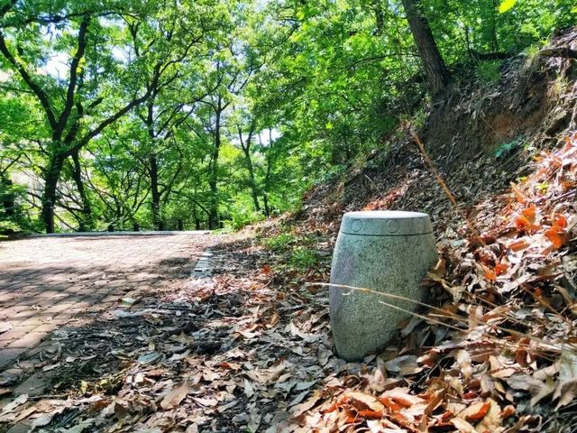 大連西尖山公園：0元解鎖山海全景的城芯秘境