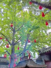 人均500玩轉葫蘆島3天2夜窮遊攻略請查收!