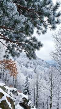 嵩山雪景仙境大公開！錯過再等365天