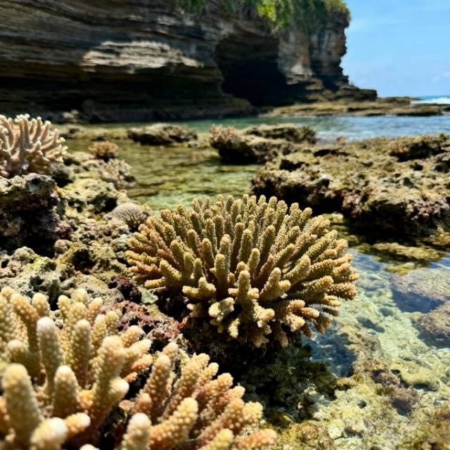 秋日潿洲島漫遊指南：在25℃的海風裡，赴一場火山與海鮮的約會