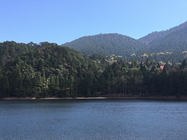 霧隱嵐山火燭幽