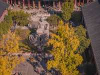 秋天來南京這幾個寺廟拍照打卡