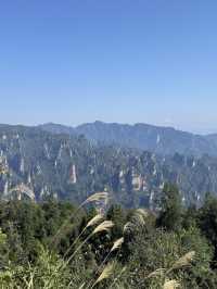 Stone Pillar Magic🌲