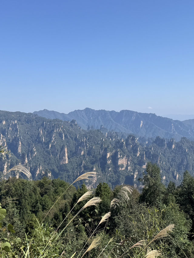 Stone Pillar Magic🌲 Stone Pillar Magic🌲