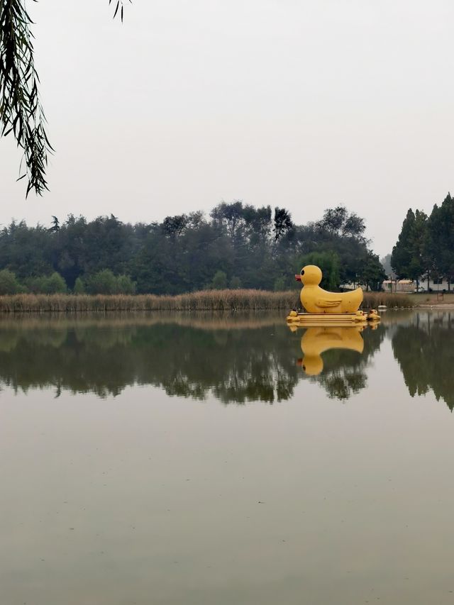 【河南省濮陽市】濮上園景區。