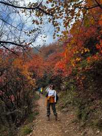 秋日圭峰山徒步攻略