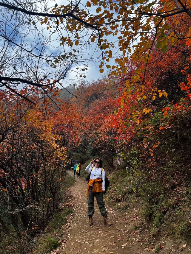 秋日圭峰山徒步攻略 秋日圭峰山徒步攻略