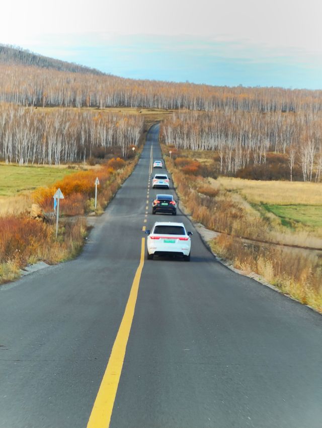 呼倫貝爾卡線:最美邊防公路名不虛傳