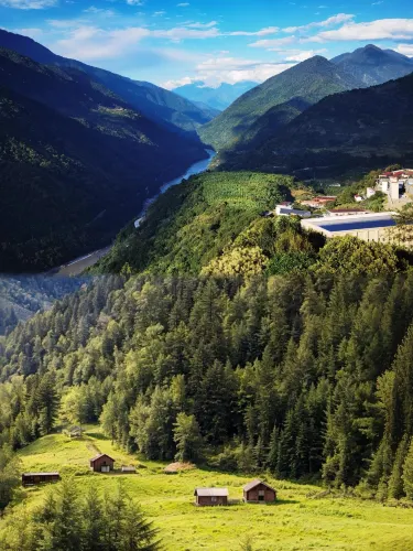 誰懂啊！在墨脫1天穿越春夏秋冬的魔幻感｜Trip.com 墨脫