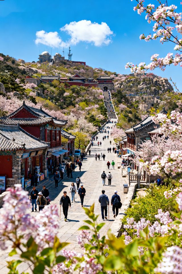 秋日要去濟南-泰安-濟寧美哭啦