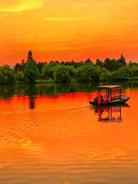 紹興秋日限定：20min高鐵直達，銀杏古寺醉江南