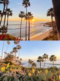 加州日記｜Laguna Beach不踩雷攻略