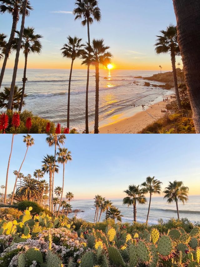 加州日記｜Laguna Beach不踩雷攻略