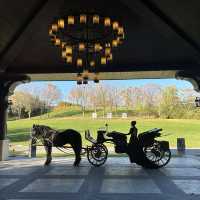  🍂 핑구 징하이호 '산에서 호수로' 당일치기 여행