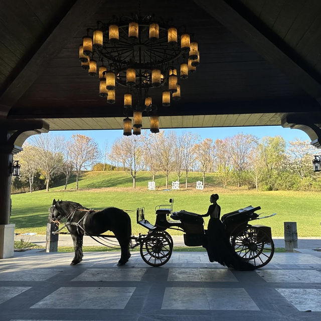  🍂 핑구 징하이호 '산에서 호수로' 당일치기 여행