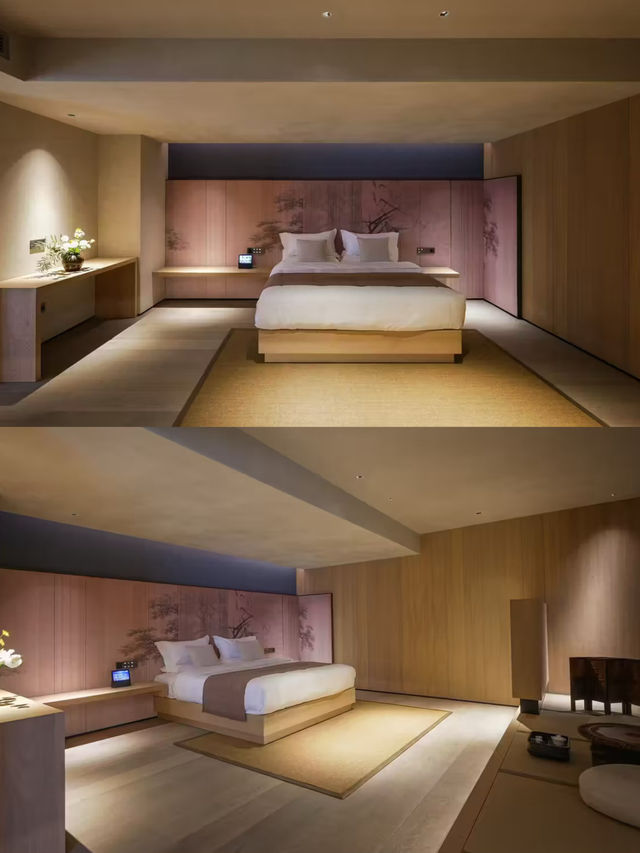 【武夷山民宿】願來100次的侘寂風茶香小院！太治癒了