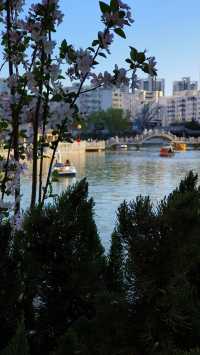 人民公園的春夏