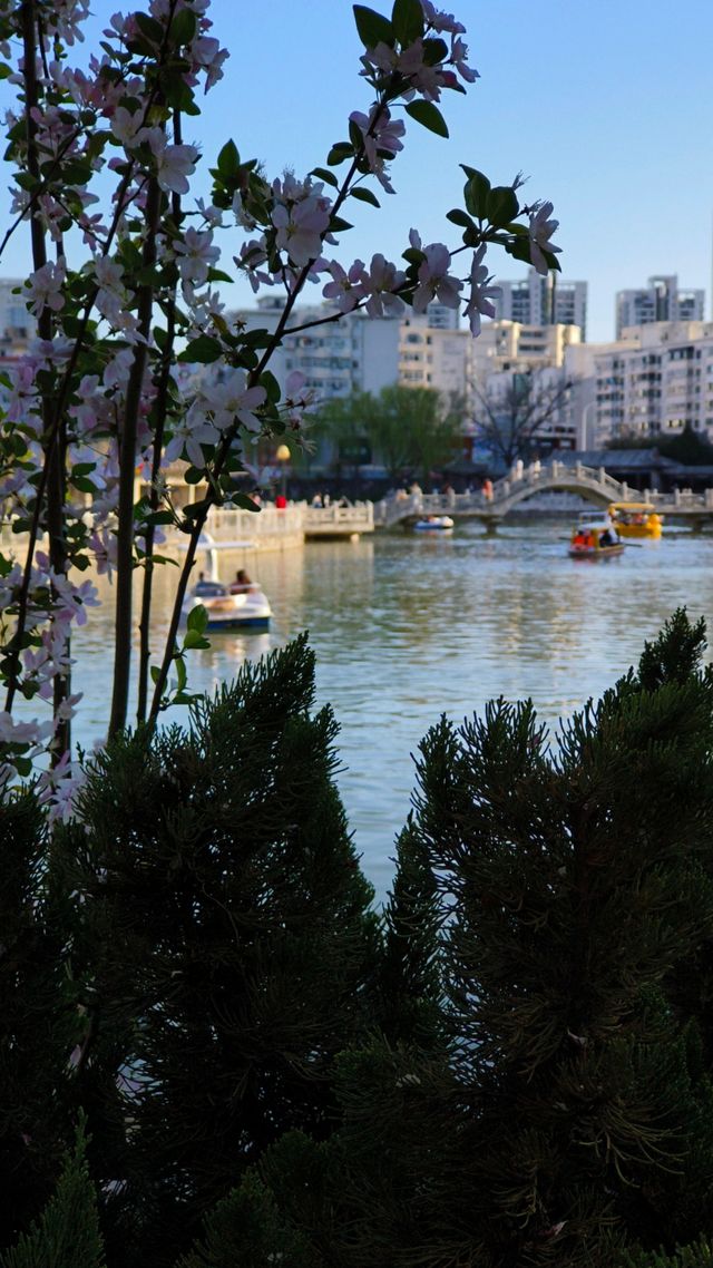 人民公園的春夏 人民公園的春夏