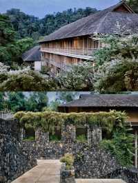 馬來西亞達泰蘭卡威酒店隱藏在熱帶雨林中的華麗天堂
