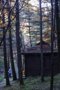 秦嶺留壩環線之情人谷