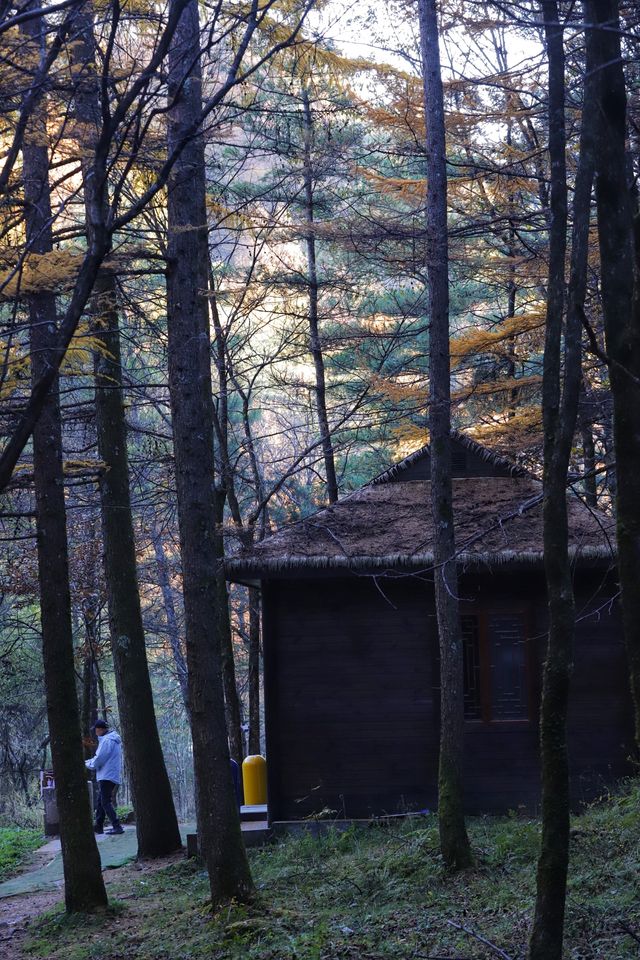 秦嶺留壩環線之情人谷