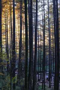 秦嶺留壩環線之情人谷