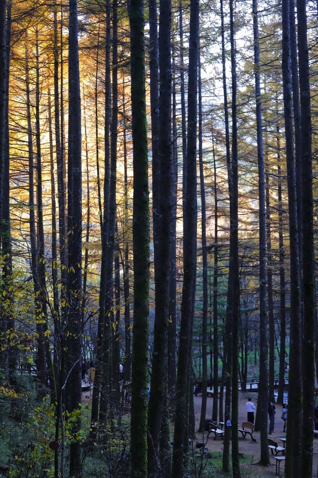 秦嶺留壩環線之情人谷