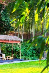 不慌不忙與秋風最後的浪漫