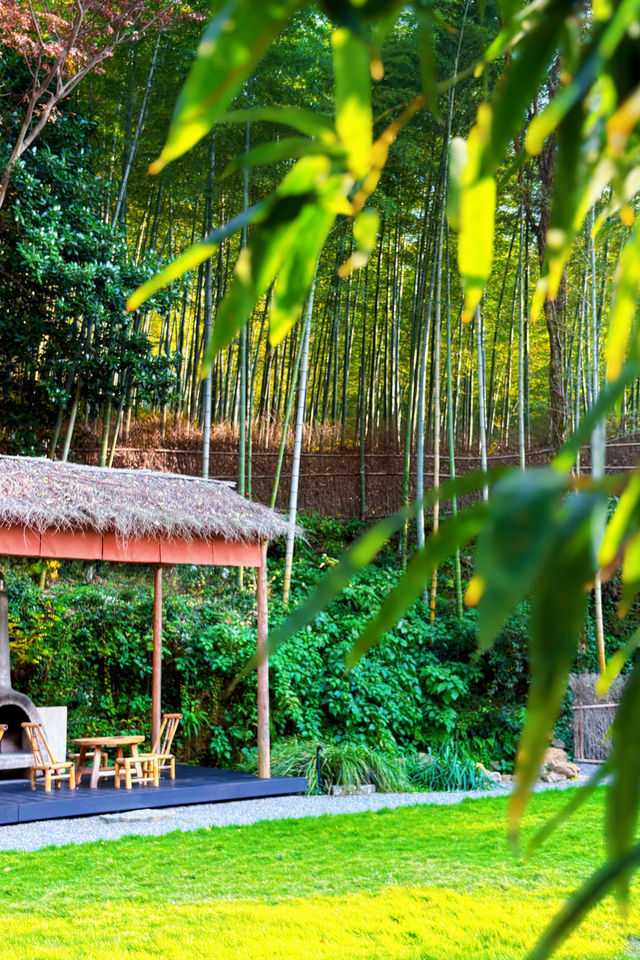 不慌不忙與秋風最後的浪漫