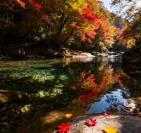 秋日限定！南江十八月潭，藏在秦巴的彩色仙境