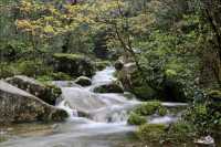 打卡舜皇山絕美四季|秋日限定彩林 & 冬季童話雲海