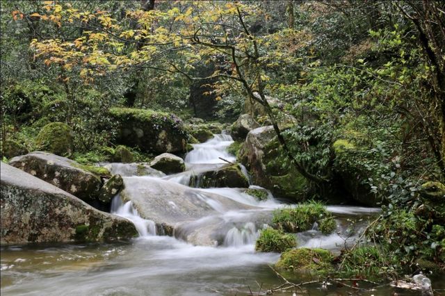 打卡舜皇山絕美四季|秋日限定彩林 & 冬季童話雲海 打卡舜皇山絕美四季|秋日限定彩林 & 冬季童話雲海