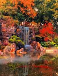 魔都上海的深秋初冬美到窒息徒步拍照聖地機位全公開!