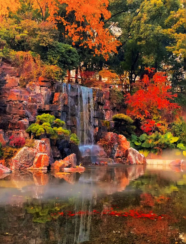 魔都上海的深秋初冬美到窒息徒步拍照聖地機位全公開! 魔都上海的深秋初冬美到窒息徒步拍照聖地機位全公開!