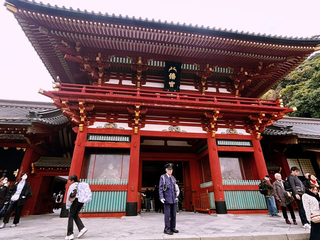 鶴岡八幡宮｜鎌倉最具代表性的神社散步路線 ⛩️🍁