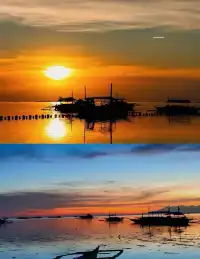 菲律賓巴里卡薩(Balicasag)潛水員的天堂潛點! 巴里卡薩島是個赤道珊瑚島,位於海中央的