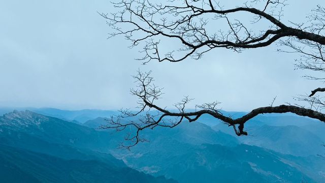藏在秦巴秘境中的龍頭山也太絕了吧雲海繚繞山峰，有如仙境！這份一日遊攻略趕緊收好～  漢中龍頭山