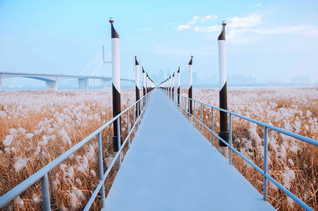 冬韻江城兩日遊|市區人文底蘊+周邊山水秘境 冬韻江城兩日遊|市區人文底蘊+周邊山水秘境