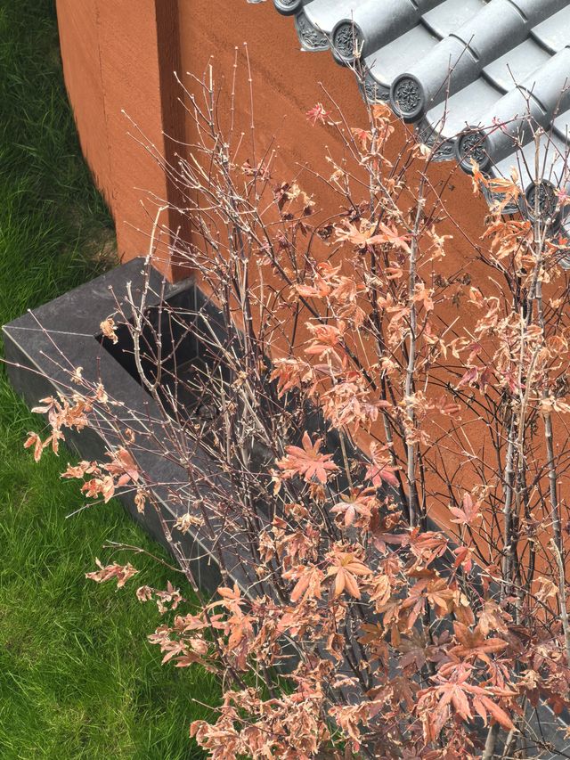 麗江住對民宿才叫度假！閱山觀景這波直接封神