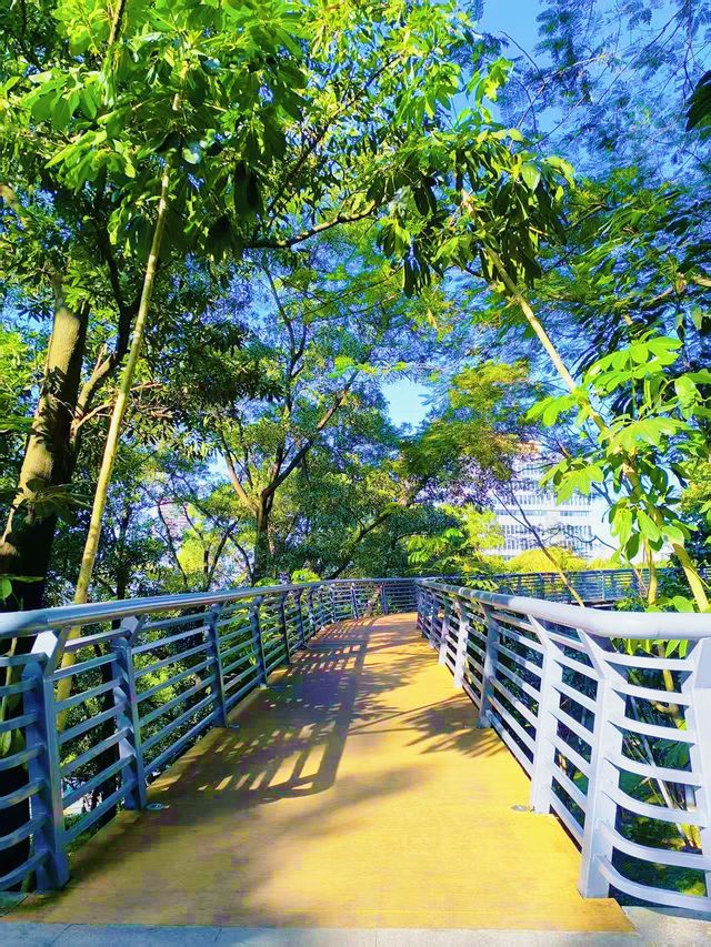 雲端綠道網紅橋小眾親子徒步路線快打卡 雲端綠道網紅橋小眾親子徒步路線快打卡