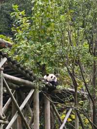 20℃冰鎮夏天!重慶1.5h直達的秘境瀑布,亞洲最大洞中奇觀