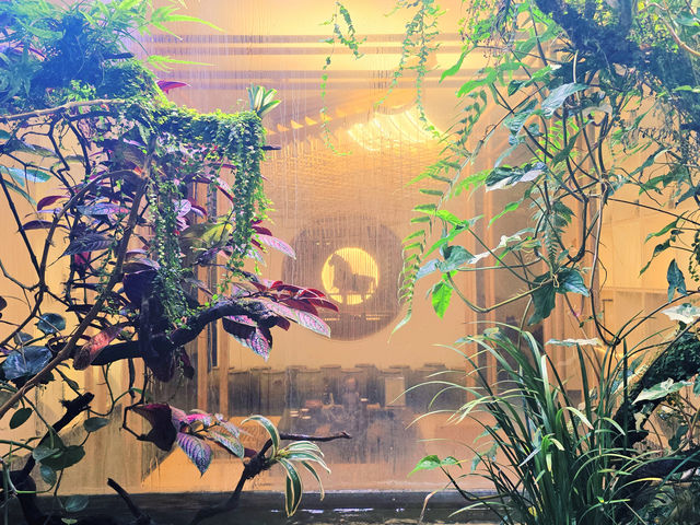 古城牆邊的時光之旅