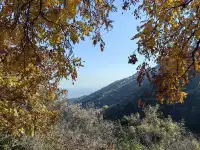 逛香山不費腿攻略。