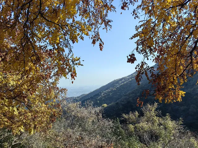 逛香山不費腿攻略。 逛香山不費腿攻略。