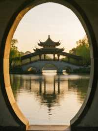 蘇州尚湖親子遊帶娃打卡絕美水杉林