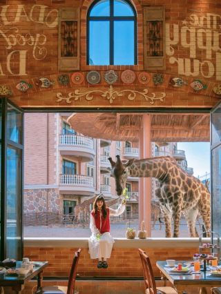 A trip to Quanzhou, the most worthwhile money spent I went to Quanzhou for the weekend and was absolutely surprised! Hidden here is a resort paradise where you can get up close with giraffes 🌿