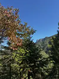 神仙谷隱藏玩法大公開！極限蹦極+深山尋寶