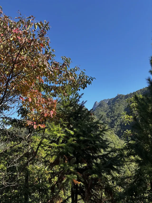 神仙谷隱藏玩法大公開！極限蹦極+深山尋寶