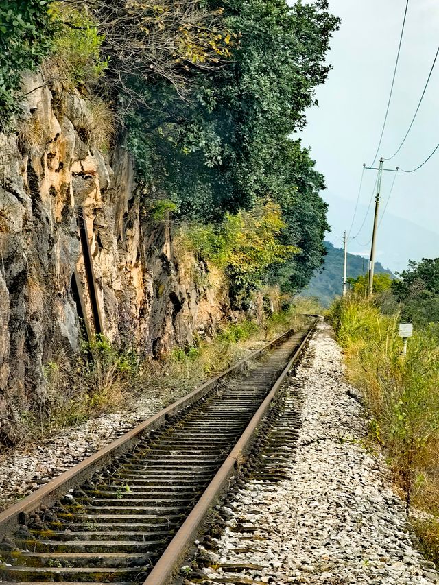 在昆明陽宗海旁竟然藏著一條停用的百年米軌鐵路 在昆明陽宗海旁竟然藏著一條停用的百年米軌鐵路